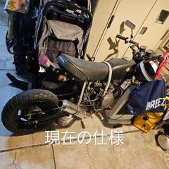 HONDA エイプ50