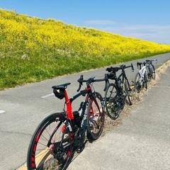 ロードバイク仲間募集中 − 東京都