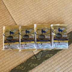 猫　試供品の画像