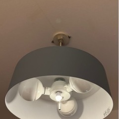 天井照明の画像