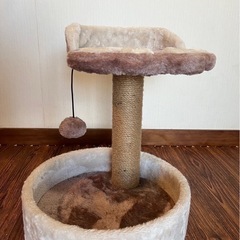 新品未使用キャットタワー【仔猫用🐈‍⬛】の画像