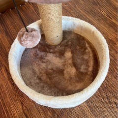 新品未使用キャットタワー【仔猫用🐈‍⬛】の画像