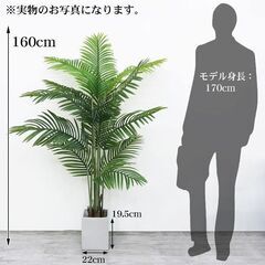 【引取限定！新品未使用】観葉植物 フェイク アレカヤシ 人工観葉植物 160cm 鉢付き リアル シンプル 水やり不要 インテリア 玄関 リビング お祝い おしゃれ ヤマドリヤシ シンボルツリー KS-03GLの画像