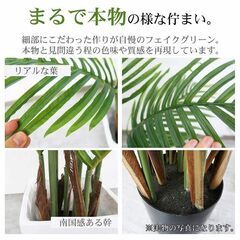 【引取限定！新品未使用】観葉植物 フェイク アレカヤシ 人工観葉植物 160cm 鉢付き リアル シンプル 水やり不要 インテリア 玄関 リビング お祝い おしゃれ ヤマドリヤシ シンボルツリー KS-03GLの画像