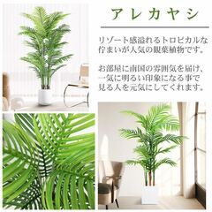 【引取限定！新品未使用】観葉植物 フェイク アレカヤシ 人工観葉植物 160cm 鉢付き リアル シンプル 水やり不要 インテリア 玄関 リビング お祝い おしゃれ ヤマドリヤシ シンボルツリー KS-03GLの画像