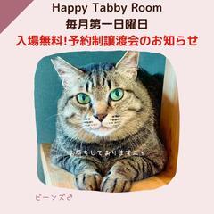 保護猫譲渡会♡2日2日は無料デーです!