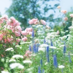 🌸今の貴方に必要なメッセージをお伝えいたします🌸