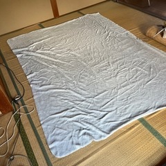 じゅうたん差し上げます。