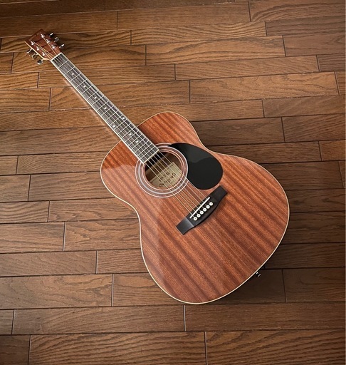 HANEY BEE アコースティックギター F-15