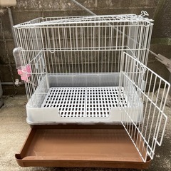 小動物 ゲージ
