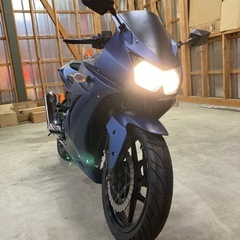 カワサキ NINJA250Rの画像