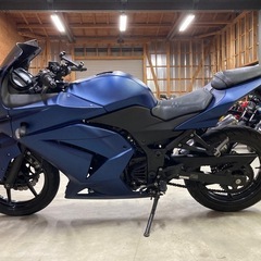カワサキ NINJA250Rの画像