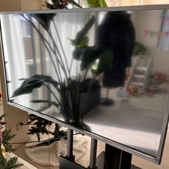 先約決定　REGZA 32型　テレビ　液晶　24年モデル  
