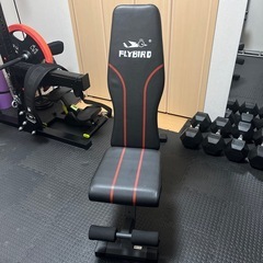 flybirdの中古が安い！激安で譲ります・無料であげます｜ジモティー