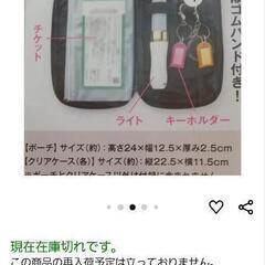 未使用 InRed 付録 ジャーナルスタンダードポーチの画像