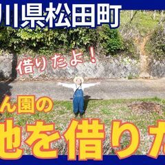 援農ボランティア・農業仲間募集@足柄上郡松田町のみかん畑 - 足柄上郡