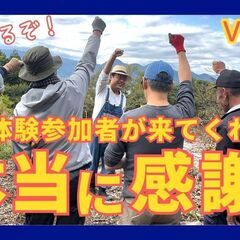 援農ボランティア・農業仲間募集@足柄上郡松田町のみかん畑 - ボランティア