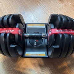 BOWFLEX 可変式ダンベル +インクラインベンチの画像