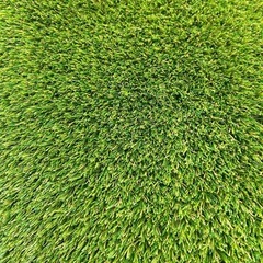 ✨超高密度人工芝115×137㎝✨の画像