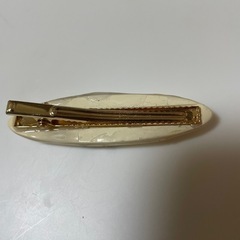 ヒスピン留めの画像