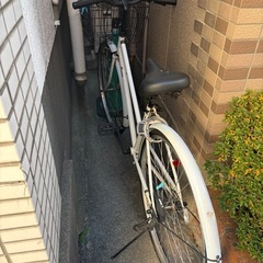 自転車