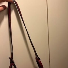 赤いバッグ差し上げます。の画像
