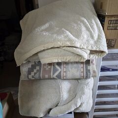 毛布、カーペット、座布団あげます。