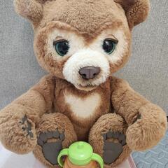 ロボットくまちゃんの画像