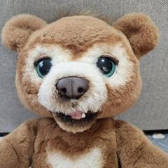 ロボットくまちゃんの画像