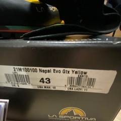 ネパールEvo Gtx Yellow サイズ43の画像
