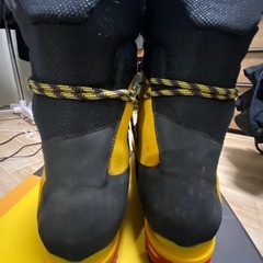 ネパールEvo Gtx Yellow サイズ43の画像