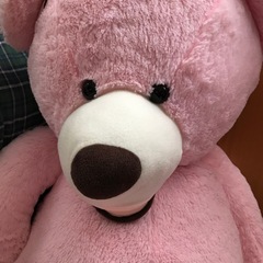 ピンクくま☆ぬいぐるみの画像