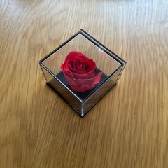 プリザーブドフラワー　赤いバラ