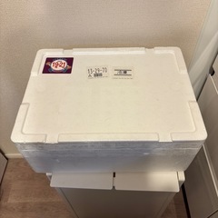 発泡スチロール