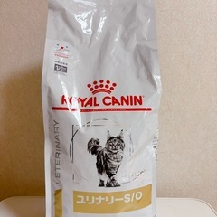 (決まりました)キャットフード3種