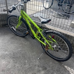 値下げしました⭐︎ルイガノ 22インチ