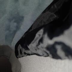 E730 ビッグファーパーカー (L)の画像