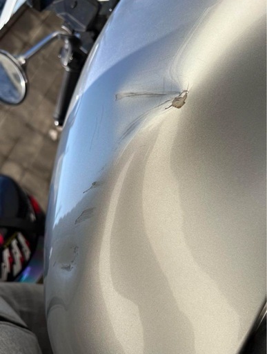 HONDA ホーネット250