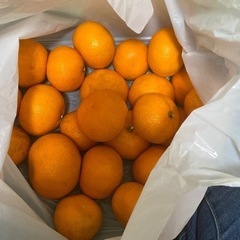 食品
