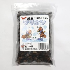 ¥1,650-冷凍フタホシ 成虫 310匹 200g