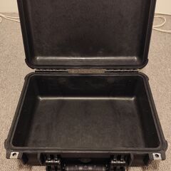 PELICANの中古が安い！激安で譲ります・無料であげます｜ジモティー