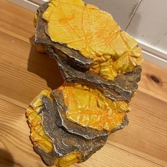 シェルター バスキングスポット 爬虫類 レオパ ニシアフ フトアゴの画像