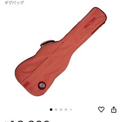 未使用！リッター　エレキベースギグバッグ