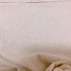 トートバッグ ショルダーバッグ 猫 白の画像