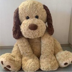 コストコ購入の画像