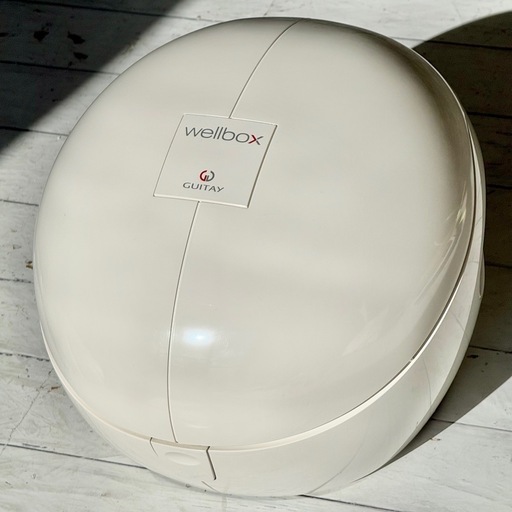 希少新品❗️GUITAY「Wellbox」家庭用エンダモロジー