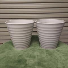 胡蝶蘭の鉢　2つセット　陶器　植木鉢