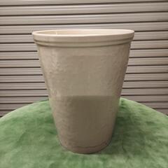 胡蝶蘭の鉢　陶器　植木鉢