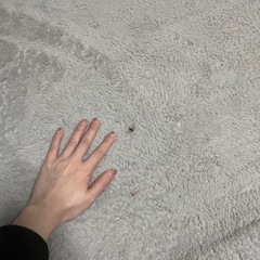 ニトリ　ファーラグ　の画像