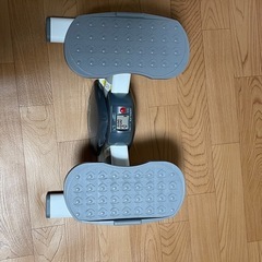 サイドステッパーの画像